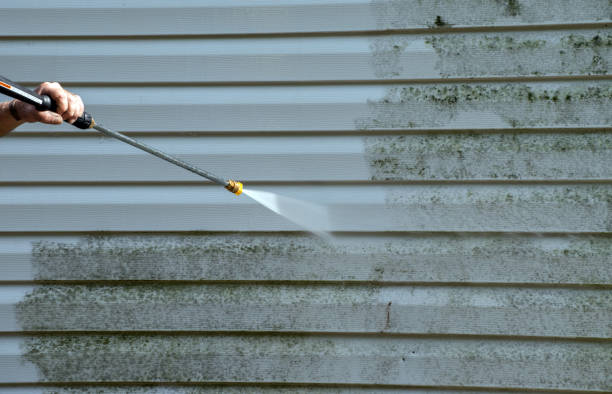 Best Mold Removal Process  in Cleveland, WI