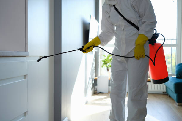 Best Commercial Mold Removal  in Cleveland, WI