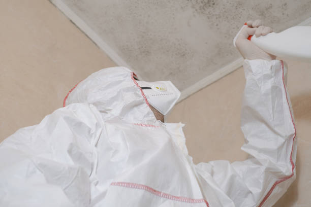 Best Toxic Mold Removal  in Cleveland, WI