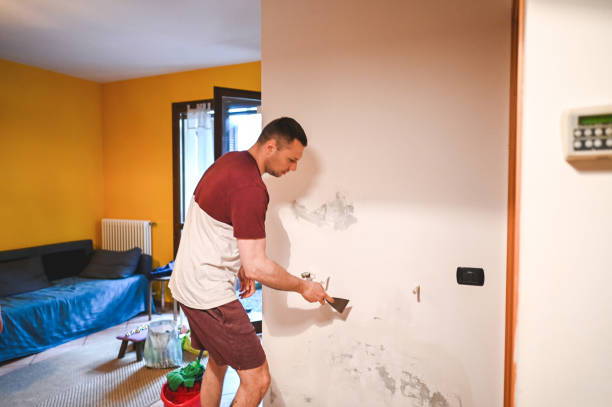 Best Office Mold Removal Services  in Cleveland, WI